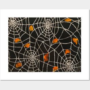 Spiderwebs Posters and Art